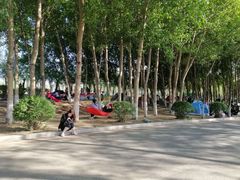 -丁香湖公园