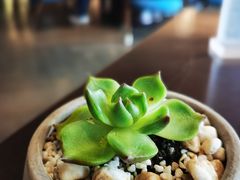 -佘山世茂艾美·御珍轩中餐厅
