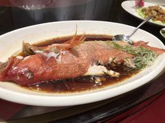 -国惠大酒楼(仓山万达店)