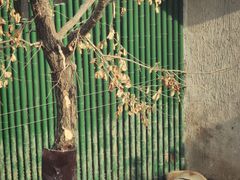 -沈阳森林动物园