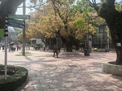 -石排湾郊野公园