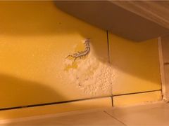 -如家酒店·neo(南京夫子庙店)