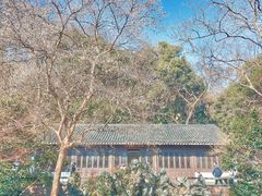 -北山街历史文化街区