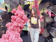 -西安电影制片厂