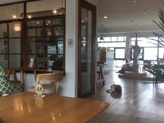 大堂-猫小主咖啡·猫咖cat cafe(福田店)