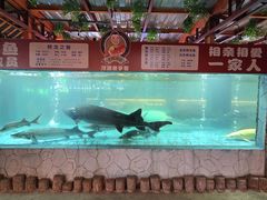 -年辉渔村·非遗传承餐厅(新丰江店)