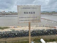 -莺歌海盐场