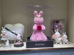 -ROSEONLY诺誓(磐基中心店)