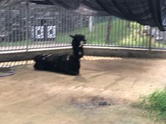 -水绘园