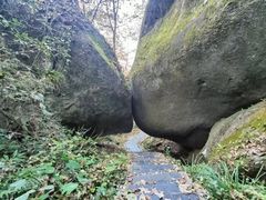 -大围山国家森林公园