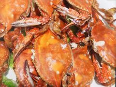 -郭姐·威海渔村(黄兴路店)