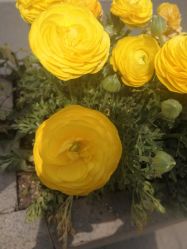 -孩子王(昆山招商花园城店)