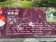 -深圳野生动物园