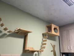 -半岛宠物医院24小时(白果林店)