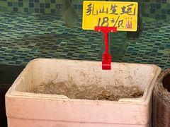 -顺德了能馆(虎门店)