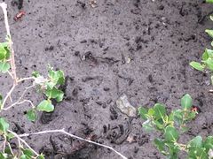 -北海金海湾红树林生态旅游区