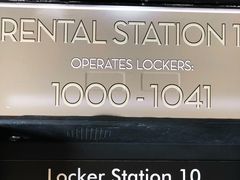 -木乃伊复仇过山车