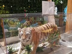 -弘安丽水温泉酒店