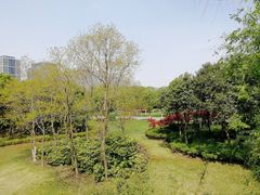 -尚贤河湿地