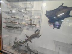 -上海昆虫博物馆