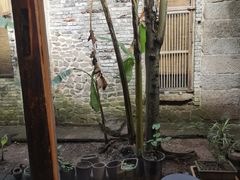 -驿舍·民國老营房院子私房菜(科学会堂店)