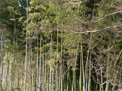 景点-焦山风景区