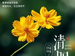 -云溪植物园