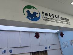 -中国农业大学动物医院