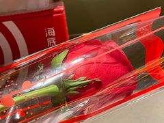 -海底捞火锅(和安宁春城店)