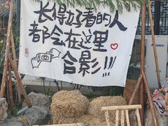 -扬州大运河文化旅游度假区·盆景园