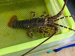 -班赞海鲜市场