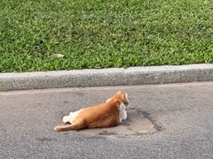 -晓港公园