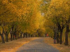 -野鸭湖国家湿地公园