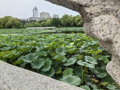 -长春市南湖公园