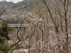 -白河湾生态旅游一条川