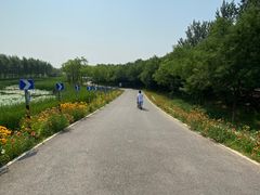 -东郊湿地公园