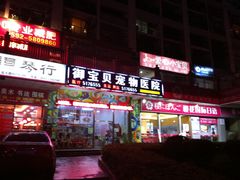-御宝贝24h宠物医院·转诊中心·CT核磁血透中心(厦门总院)