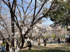 -西北湖绿化广场