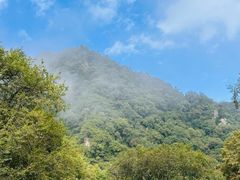 -陕西省红河谷森林公园