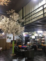 点击看大图 -美年亲子儿童摄影(合肥市滨湖新区金泉小区店)