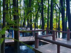 -东湖落雁景区