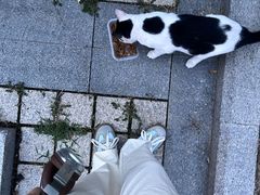 -汉长安城未央宫国家考古遗址公园