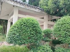 -嘉定紫藤园