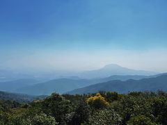 -东莞市大岭山森林公园