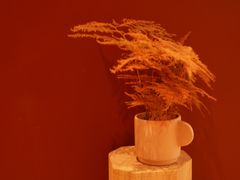 -二酉书店TOYOU BOOKS