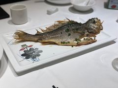 -金春禧(北国商城店)
