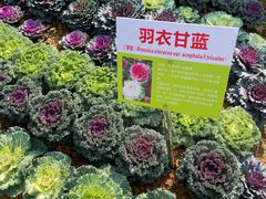-天河儿童公园
