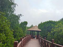 -大亚湾红树林城市湿地公园
