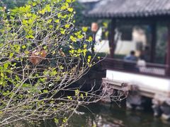 -上海醉白池公园