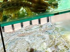 -凯华海鲜火锅·传承三十六年